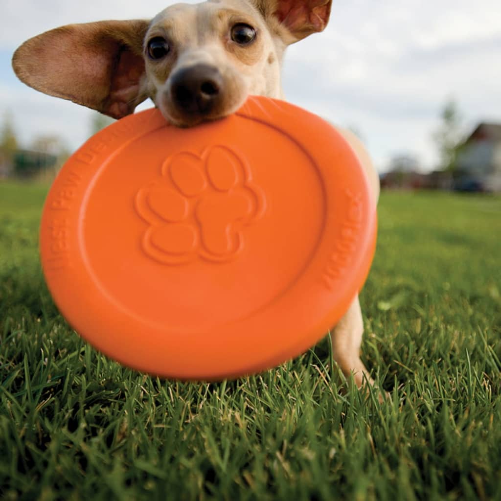 Zogoflex Hondenfrisbee Zisc oranje maat L 1937 - AllerleiShop