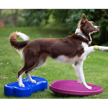 FitPAWS Dieren balansmat K9FITbone hemelsblauw PVC FPK9BONEBL - AllerleiShop