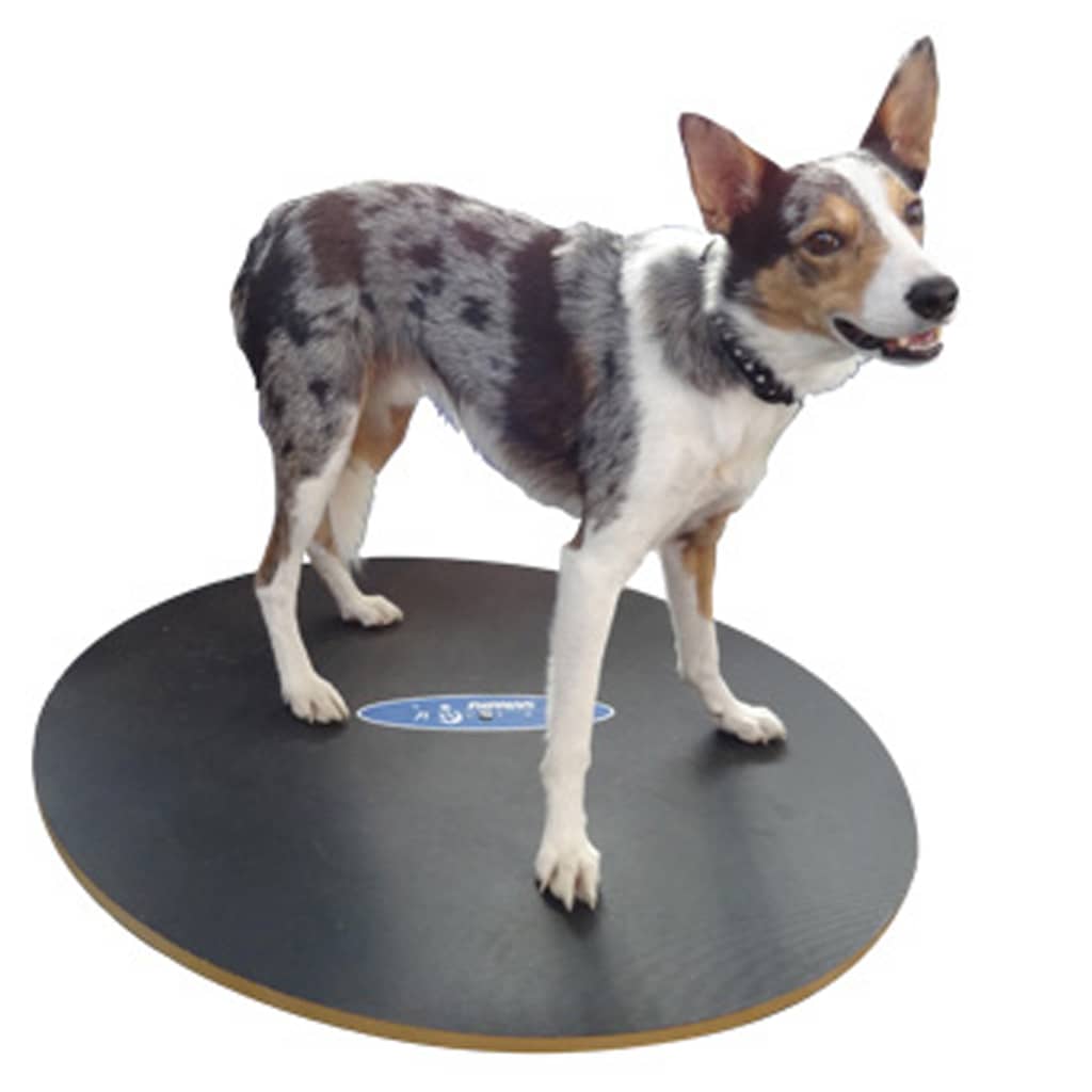 FitPAWS Balansbord 50 cm zwart - AllerleiShop