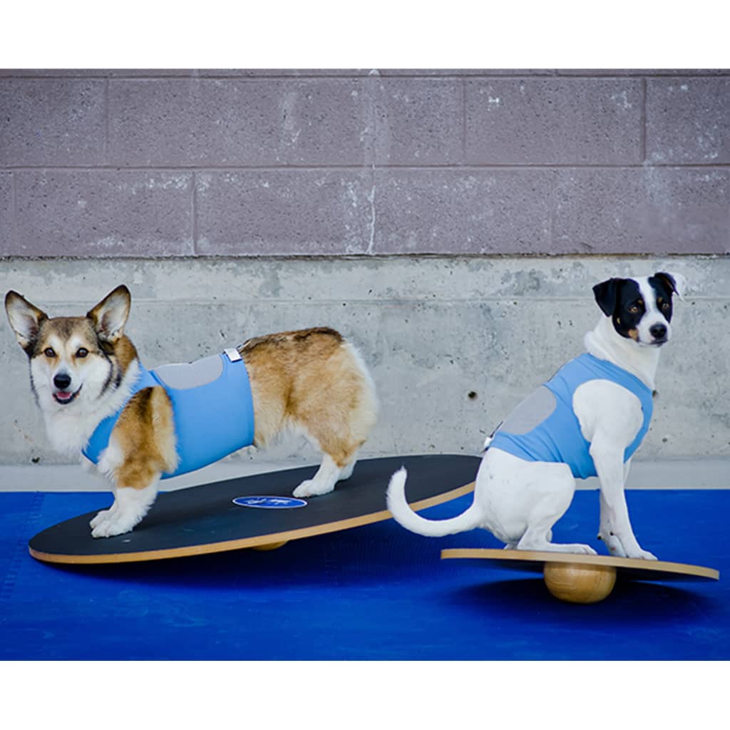 FitPAWS Balansbord 50 cm zwart - AllerleiShop