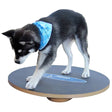 FitPAWS Balansbord 50 cm zwart - AllerleiShop