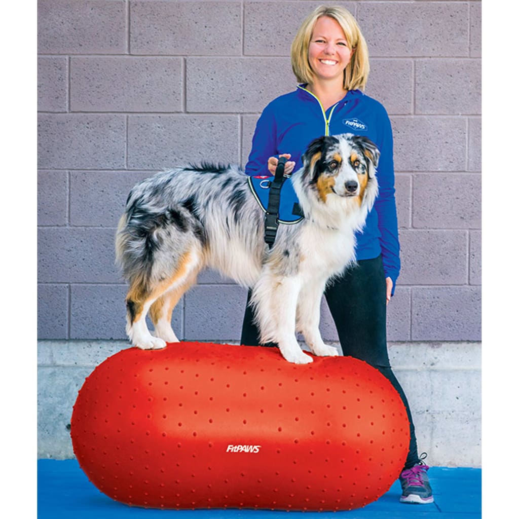 FitPAWS Dierenbalansplatform Trax Peanut 50 cm rood - AllerleiShop