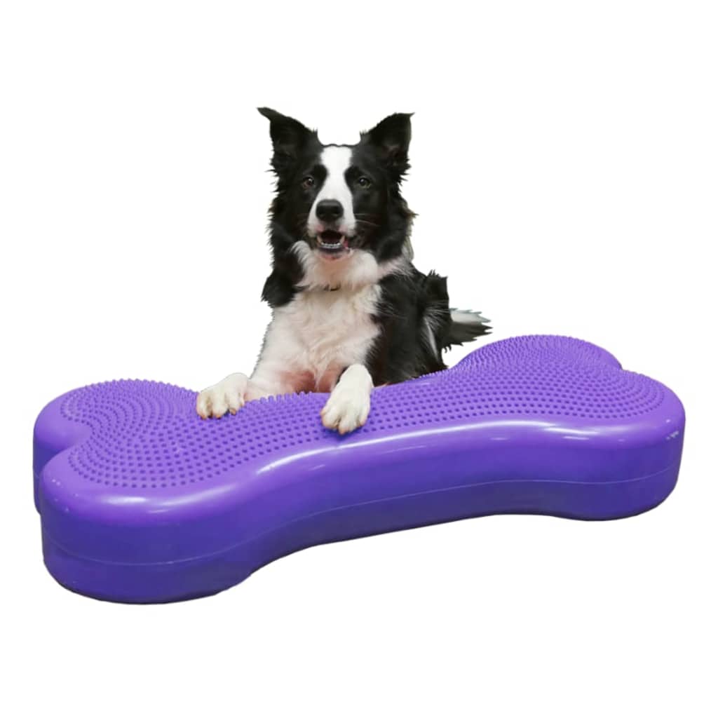 FitPAWS Dierenbalansplatform Giant K9FITbone PVC violet - AllerleiShop