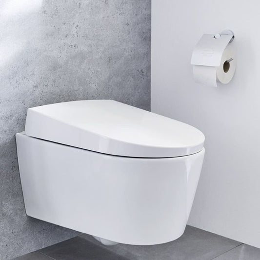 Kleine Wolke Toiletrolhouder met deksel Apollo aluminium - AllerleiShop