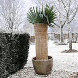 Nature Winterbedekking rijststro 1x1,5 m 6030105 - AllerleiShop