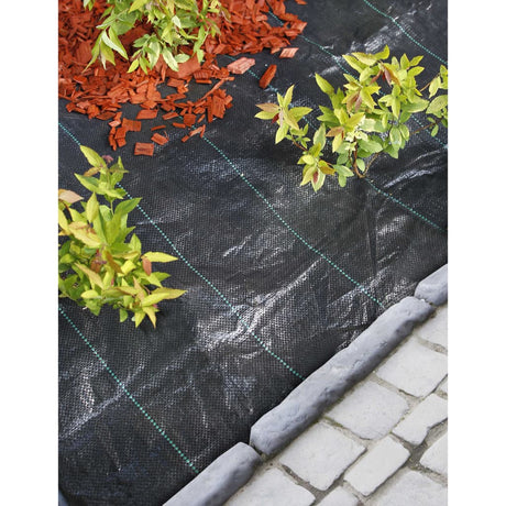 Nature Worteldoek 2x10 m zwart - AllerleiShop