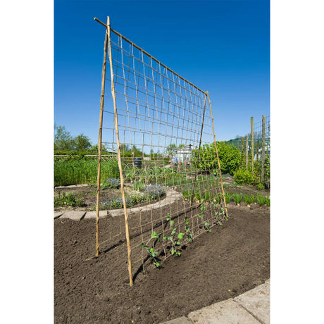 Nature Klimnet voor planten 1x3 m jute naturel - AllerleiShop