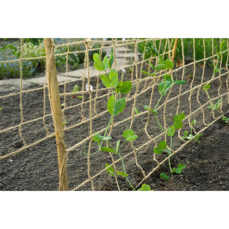 Nature Klimnet voor planten 1x3 m jute naturel - AllerleiShop