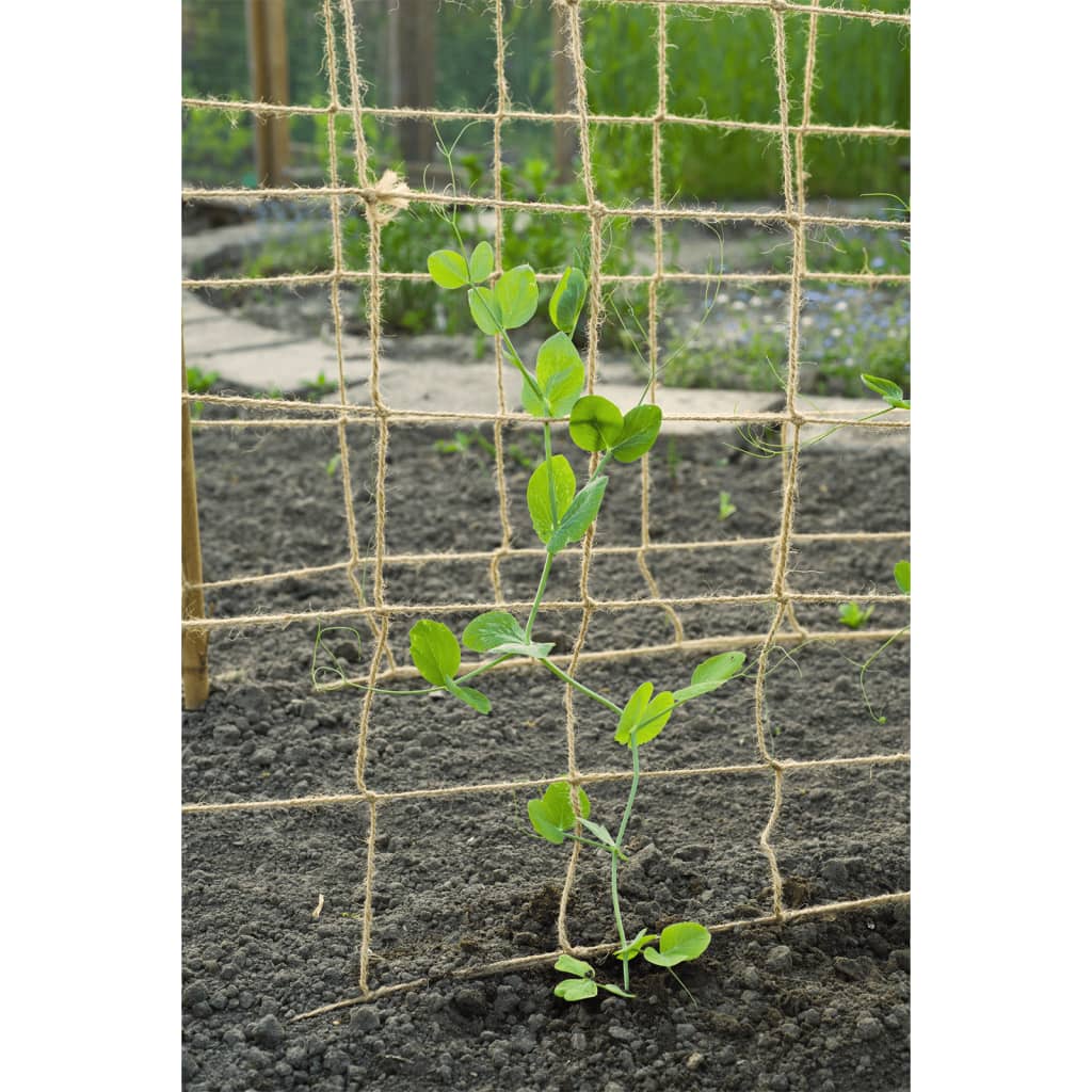 Nature Klimnet voor planten 1x3 m jute naturel - AllerleiShop