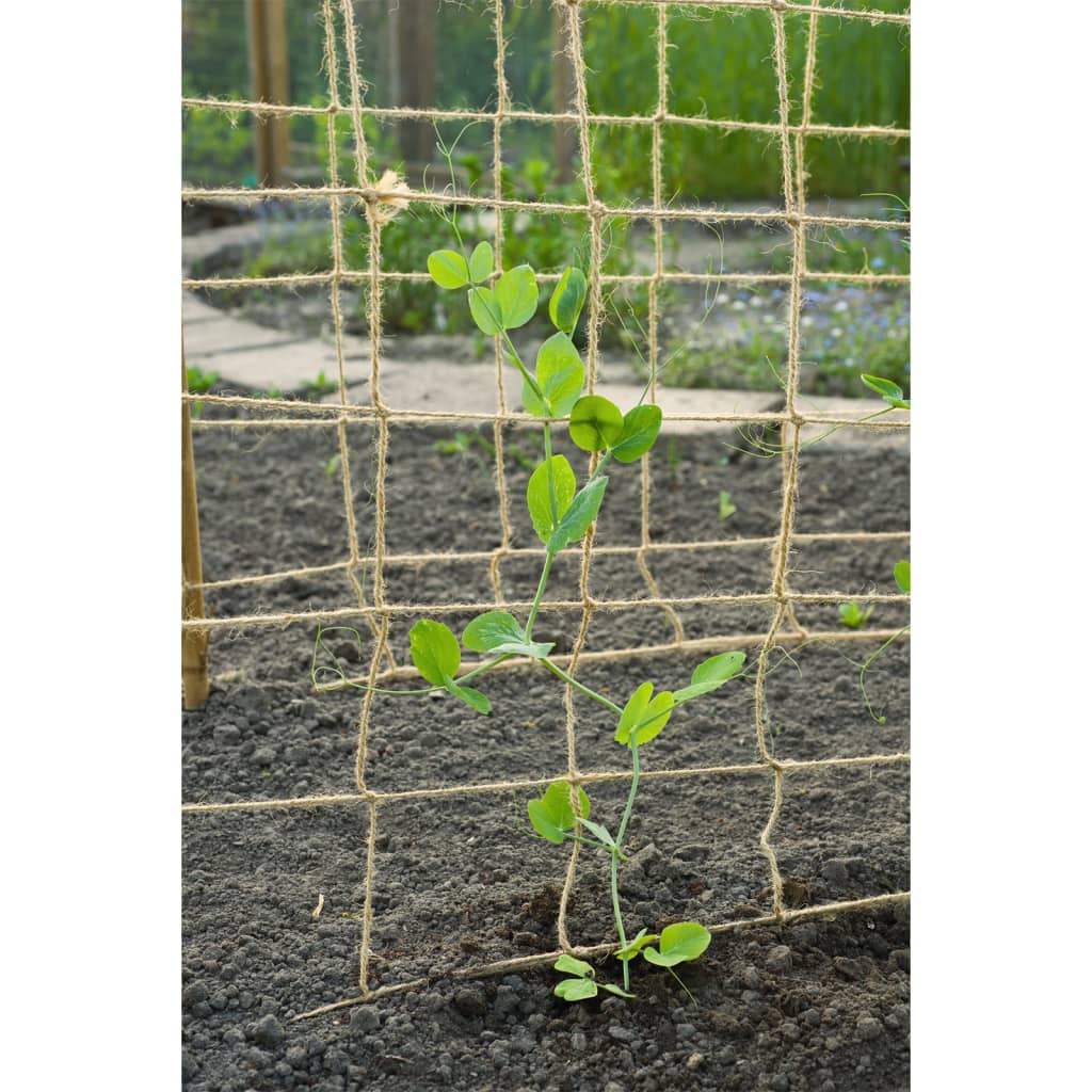 Nature Klimnet voor planten 1,8x5 m naturel - AllerleiShop