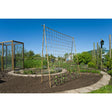 Nature Klimnet voor planten 1,8x5 m naturel - AllerleiShop