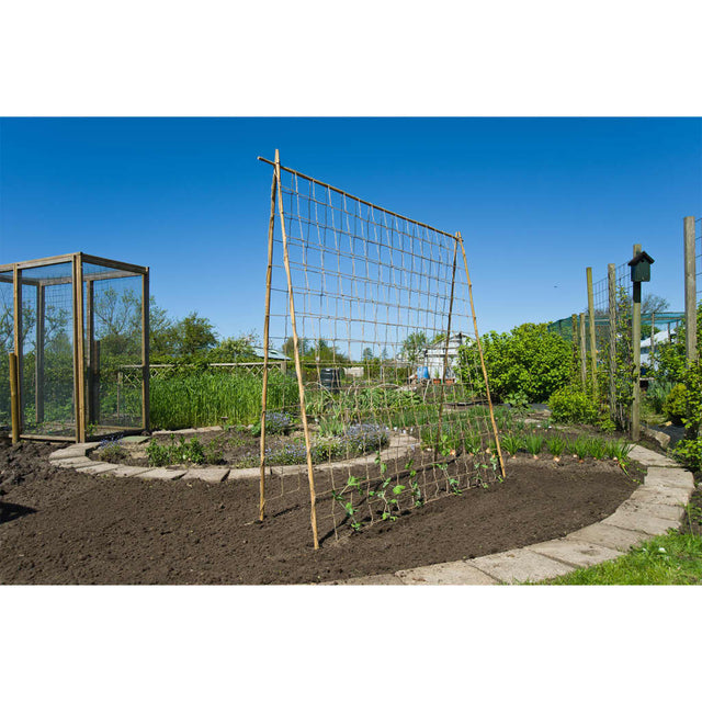 Nature Klimnet voor planten 1,8x5 m naturel - AllerleiShop