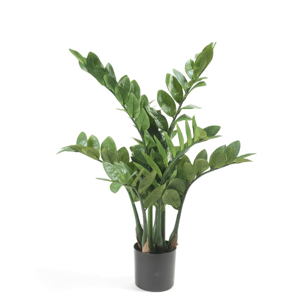 Emerald Kunstplant zamioculcas 70 cm - AllerleiShop