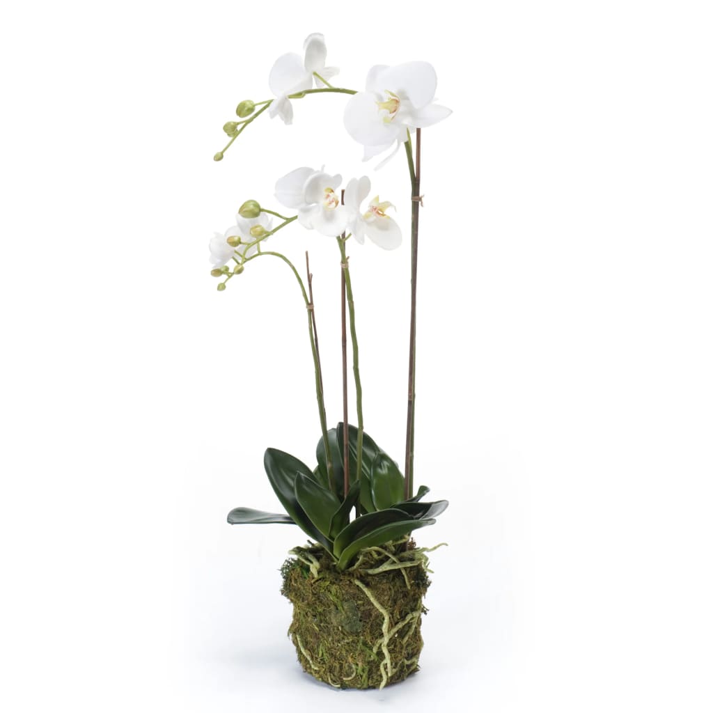 Emerald Kunstplant vlinderorchidee 70 cm wit - AllerleiShop