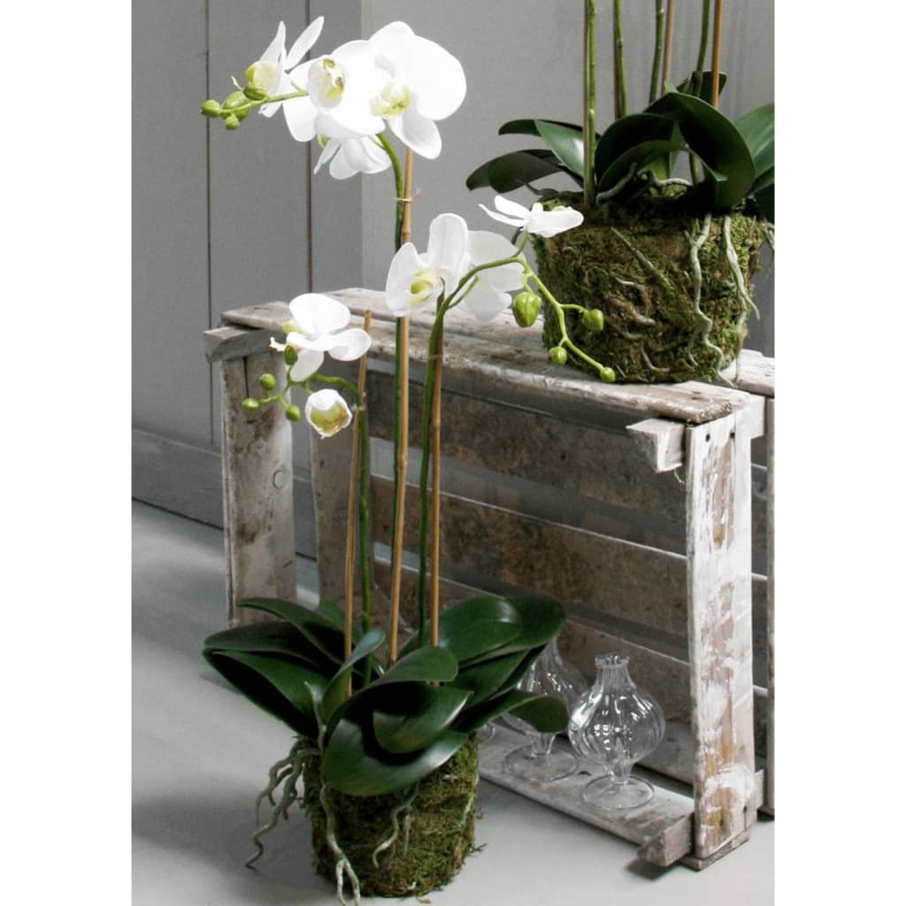 Emerald Kunstplant vlinderorchidee 70 cm wit - AllerleiShop