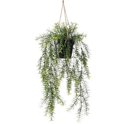 Emerald Kunstplant hangend in pot asparagus 50 cm - AllerleiShop