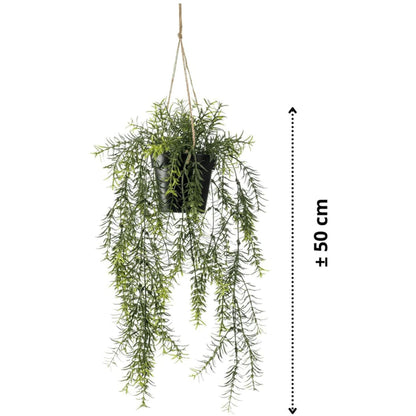 Emerald Kunstplant hangend in pot asparagus 50 cm - AllerleiShop