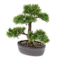 Emerald Kunstplant ceder bonsai groen 32 cm 420001 - AllerleiShop