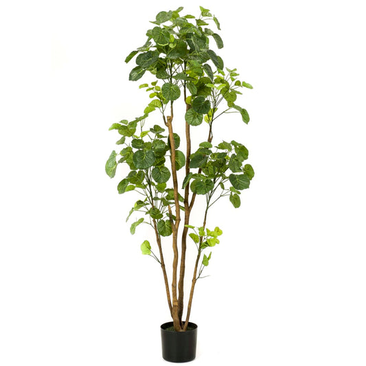 Emerald Kunstboom in pot aralia 160 cm - AllerleiShop