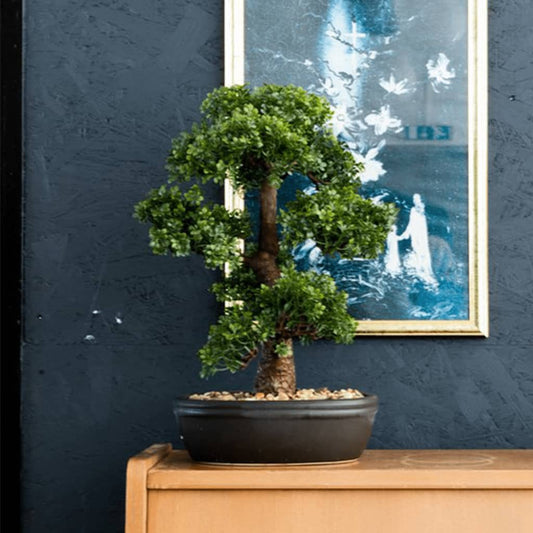 Emerald Kunstplant in bruine pot Ficus minibonsai 43 cm - AllerleiShop