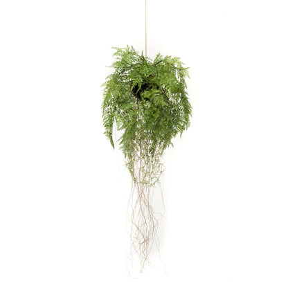 Emerald Kunstvaren hangend met wortels 35 cm - AllerleiShop