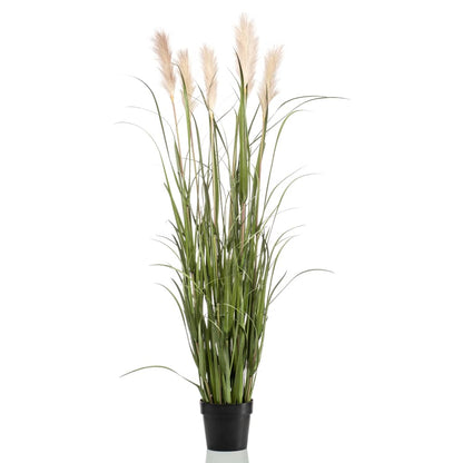 Emerald Kunstplant in pot pampasgras 160 cm - AllerleiShop