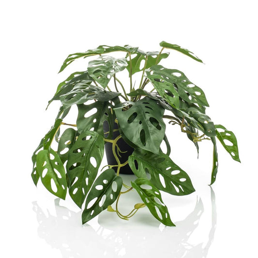 Emerald Kunstplant in pot Monkey monstera struik 55 cm - AllerleiShop