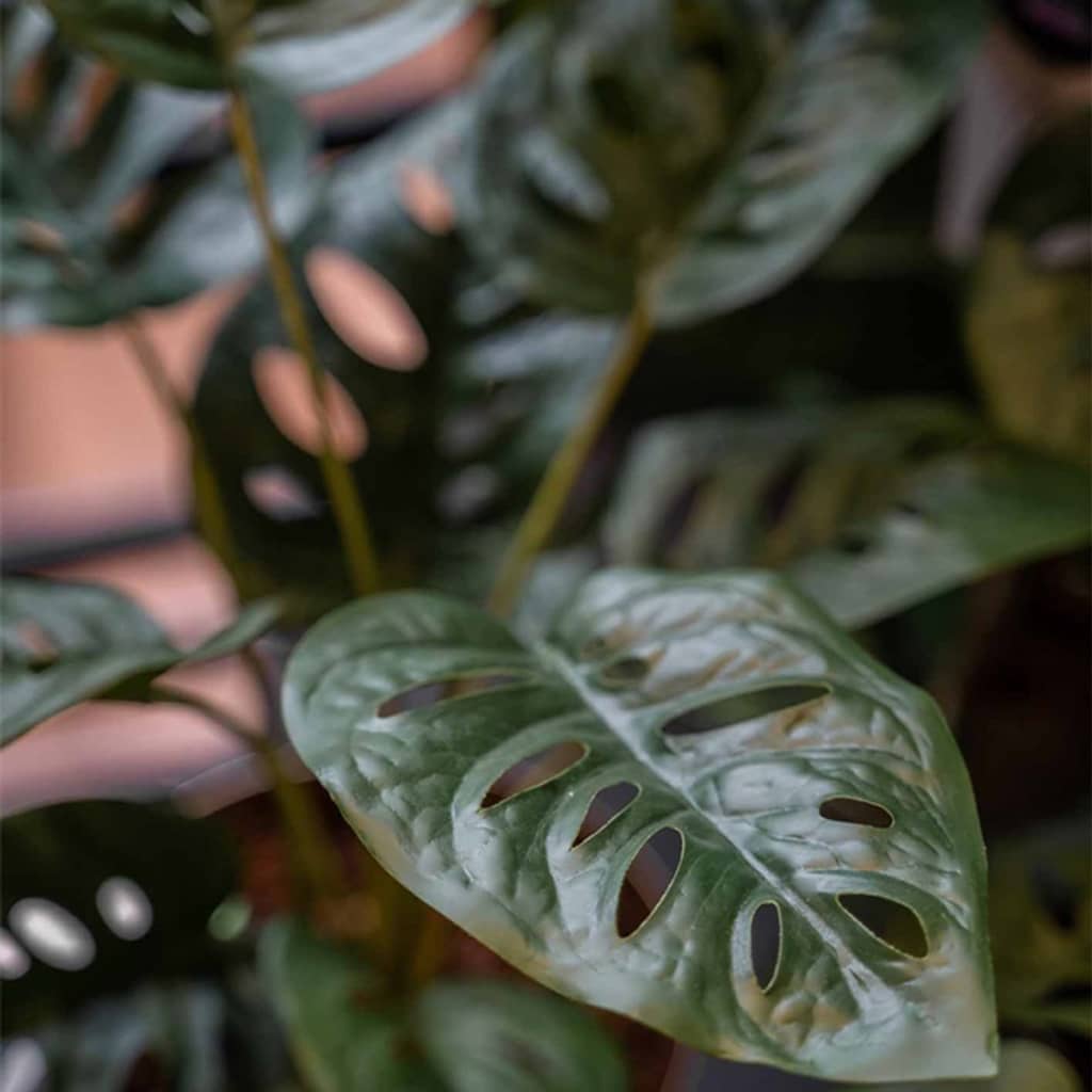 Kunstplant in pot Monkey monstera struik 43 cm