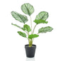 Emerald Kunstplant in pot calathea orbifolia 45 cm - AllerleiShop