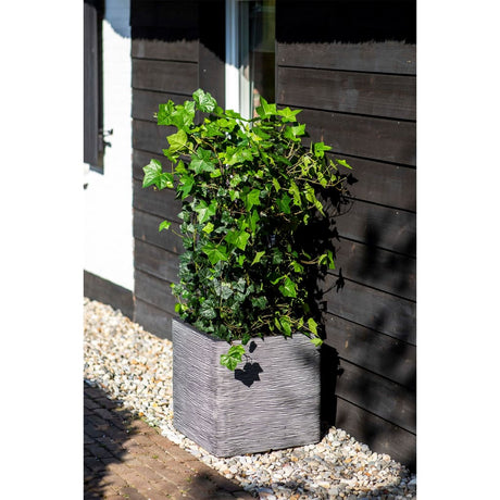 Capi Plantenbak Nature Rib vierkant 30x30 cm antraciet KOFZ902 - AllerleiShop