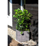 Capi Plantenbak Nature Rib vierkant 40x40 cm antraciet KOFZ903 - AllerleiShop