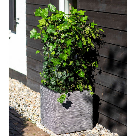 Capi Plantenbak Nature Rib vierkant 50x50 cm antraciet - AllerleiShop