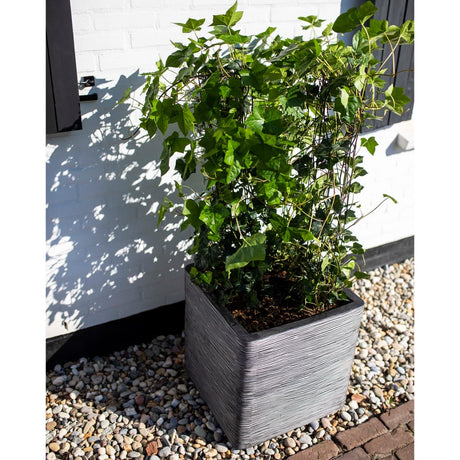 Capi Plantenbak Nature Rib vierkant 50x50 cm antraciet - AllerleiShop