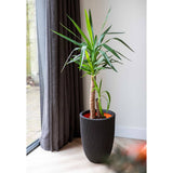 Capi Bloempot Groove elegant 46x58 cm zwart - AllerleiShop