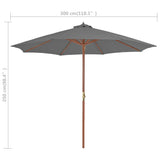 Parasol met houten paal 300 cm antraciet - AllerleiShop