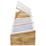 Kas 200x50x35 cm geïmpregneerd grenenhout - AllerleiShop