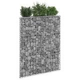 Gabion plantenbak trapezium 80x20x100 cm gegalvaniseerd staal