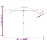 Parasol met metalen paal 300x200 cm zwart - AllerleiShop