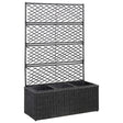 Latwerkplantenbak verhoogd met potten 83x30x130 cm rattan zwart - AllerleiShop