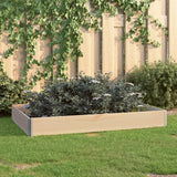 Plantenbak verhoogd 100x150 cm massief grenenhout