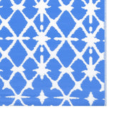 Buitenkleed 80x150 cm PP blauw en wit - AllerleiShop