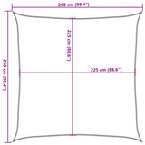 Zonnezeil 160 g/m² 2,5x2,5 m HDPE zwart