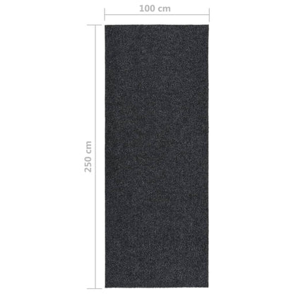 Droogloopmat 100x250 cm antracietkleurig - AllerleiShop