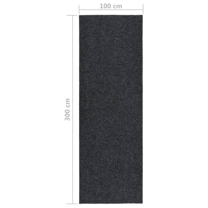 Droogloopmat 100x300 cm antracietkleurig - AllerleiShop