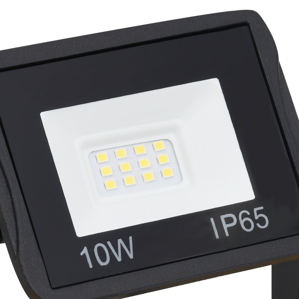 Spotlight met handvat LED 2x10 W warmwit