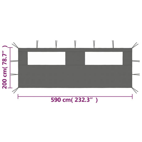 Prieelzijwand met ramen 6x2 m antracietkleurig - AllerleiShop