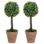 Kunstplanten met pot 2 st buxus bolvorming 33 cm groen - AllerleiShop