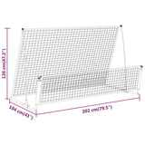 Voetbalrebounder/voetbaldoel 2-in-1 202x104x120 cm staal - AllerleiShop