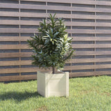 Plantenbak 31x31x31 cm massief grenenhout wit - AllerleiShop