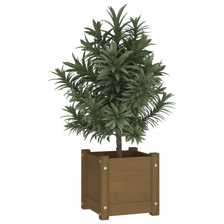 Plantenbak 31x31x31 cm massief grenenhout honingbruin - AllerleiShop